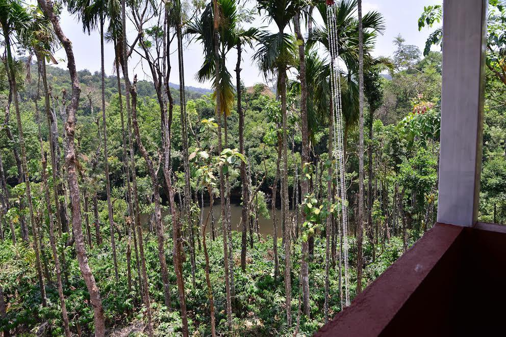 River Near Coorg Jambur 外观 照片